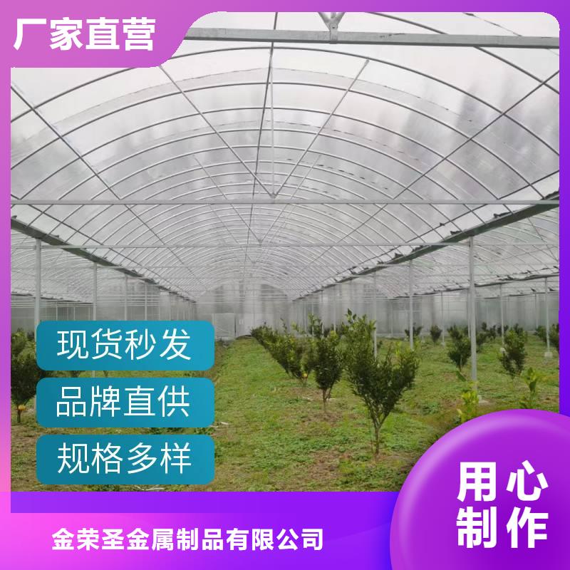 安徽省优选(金荣圣)县蔬菜大棚价格源头厂家