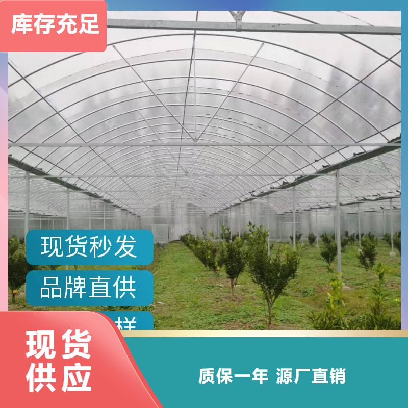 云南省直销(金荣圣)县蔬菜大棚厂10年经验