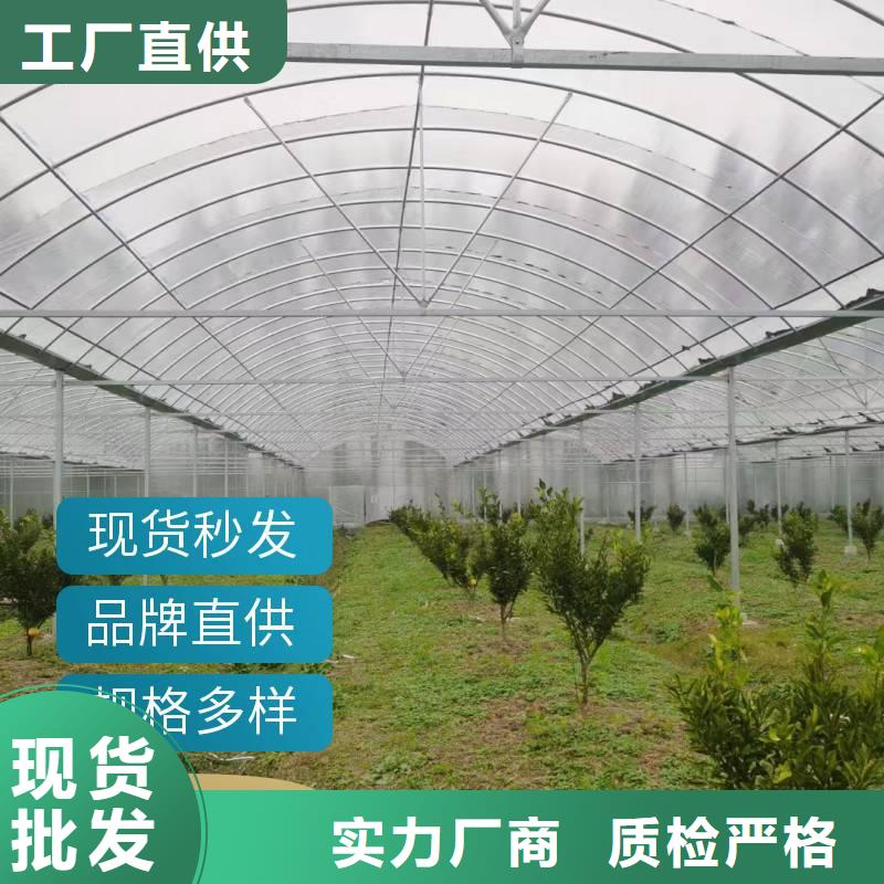 浙江省订购《金荣圣》蓝莓杨梅水果大棚生产基地