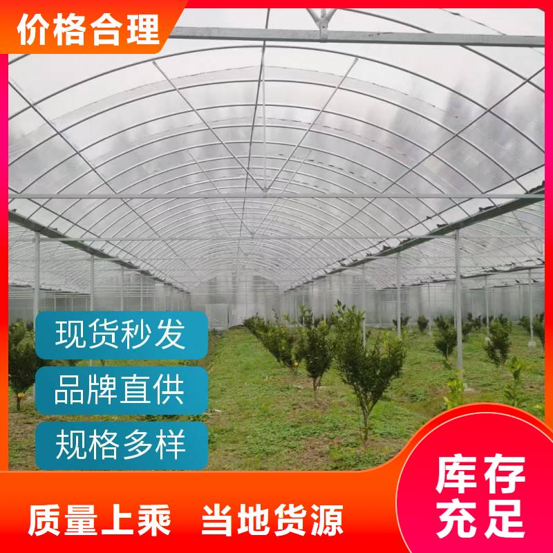 广东省深圳市大鹏街道玻璃温室大棚造价厂家报价