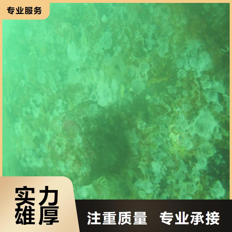 船底探摸欢迎咨询