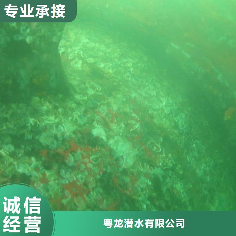 水下解车叶欢迎电询