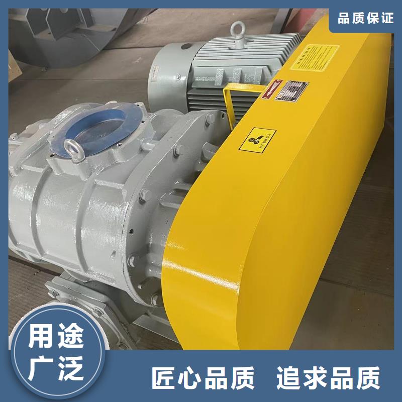 2025实时更新今日行情罗茨鼓风机LFSR100