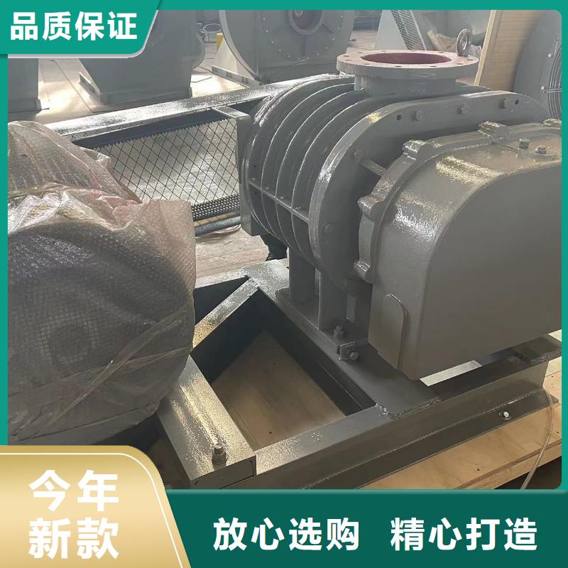 2025已更新(今日/标准)三叶罗茨鼓风机LFSR100