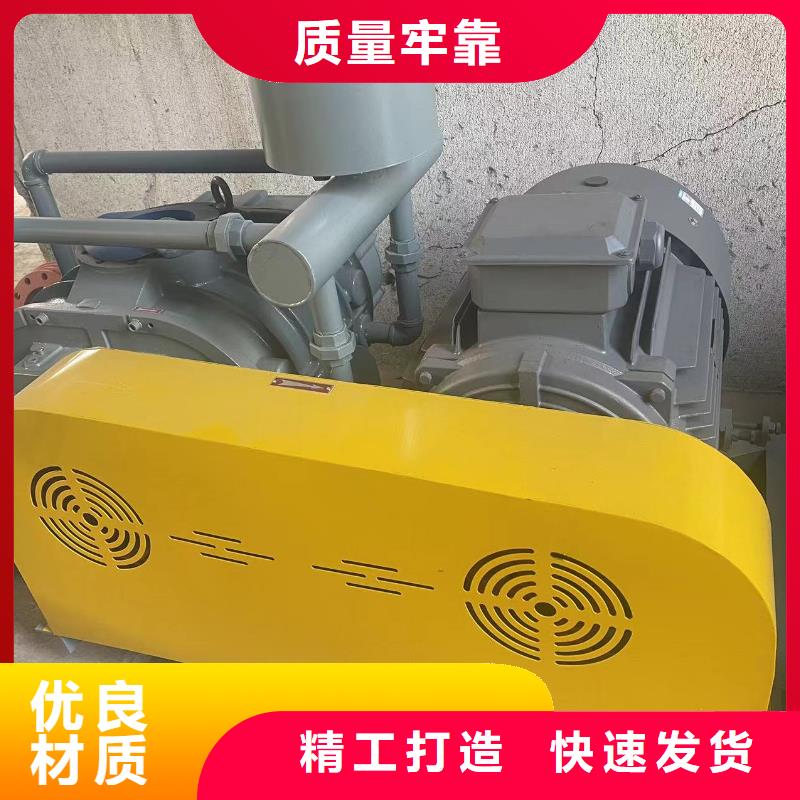 山东临风科技股份两叶罗茨风机LFSR300
