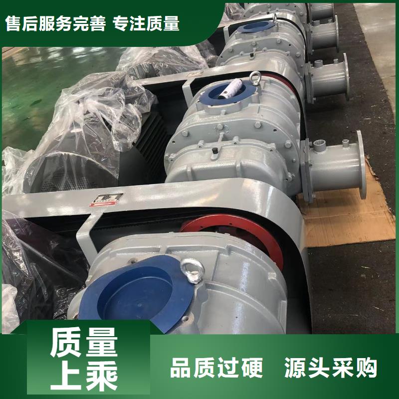 每日罗茨鼓风机LFSR100