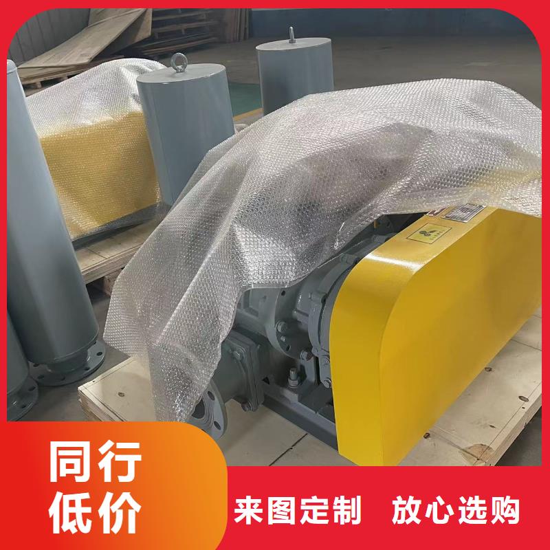 每日罗茨鼓风机LFSR100