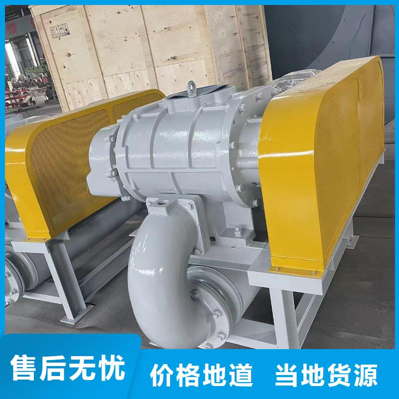 山东临风科技股份两叶罗茨风机LFSR300