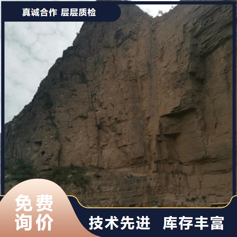 进口柴油发电机租赁立足本地