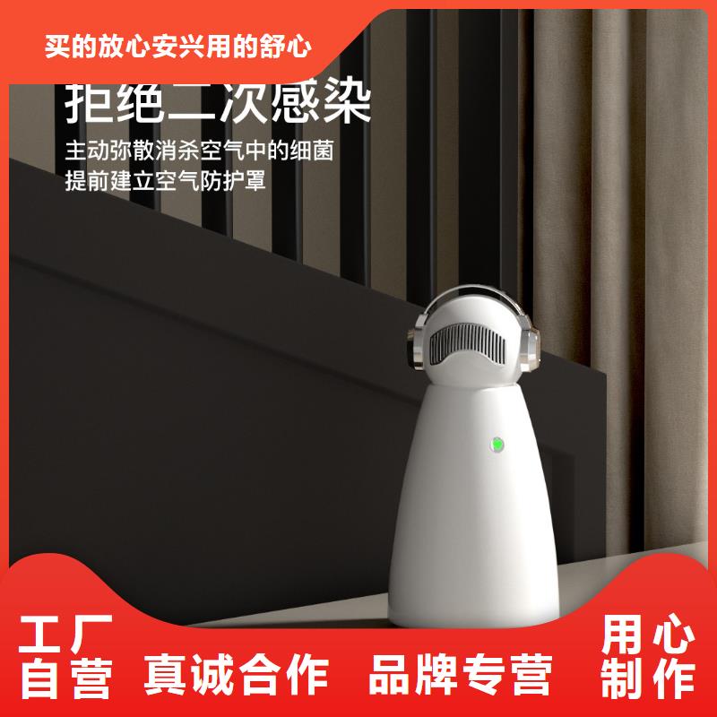 空气净化器供应小白祛味王认准大品牌厂家
