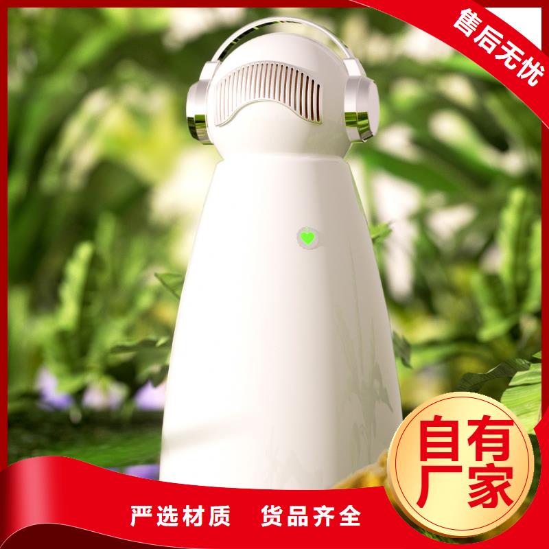 空气净化器供应小白祛味王敢与同行比质量