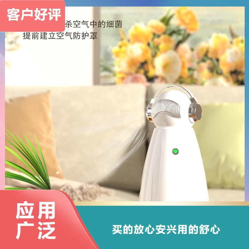 空气净化器小白祛味王生产厂家正规厂家