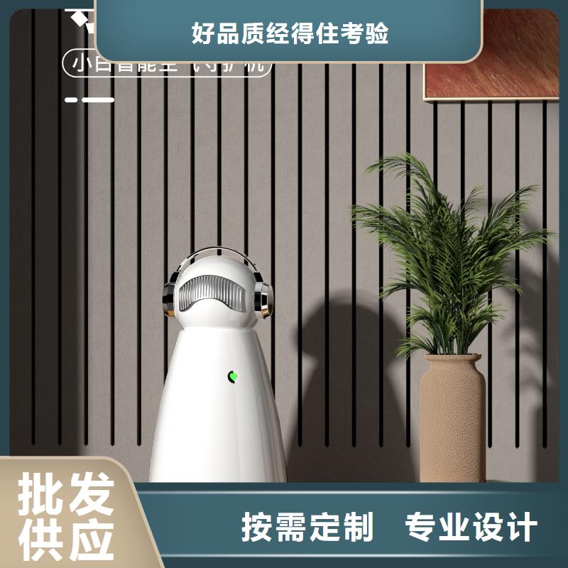 空气净化器小白空气守护机销售专业生产团队