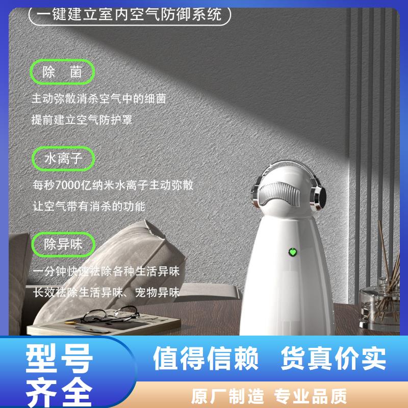 空气净化器无臭养宠现货销售