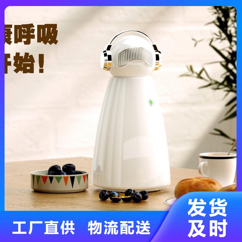 小白祛味王车载空气净化器供应支持加工定制