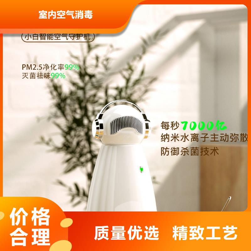 小白祛味王厂家直销