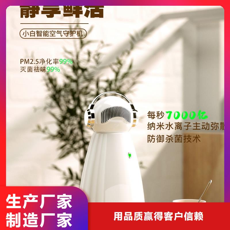 小白祛味王智能空气净化器销售严谨工艺