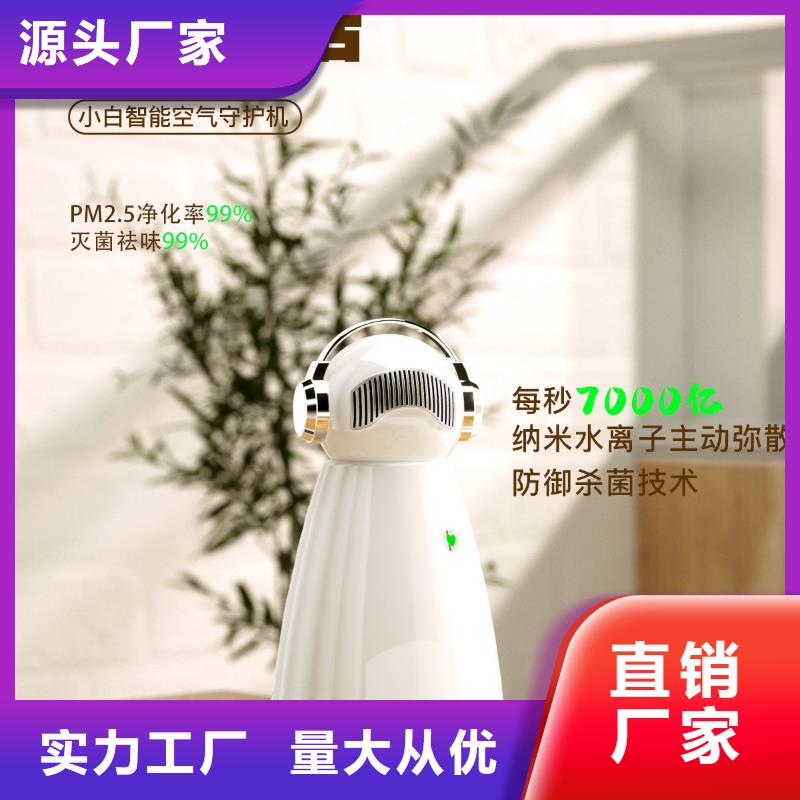 小白祛味王空气消毒机现货库存丰富