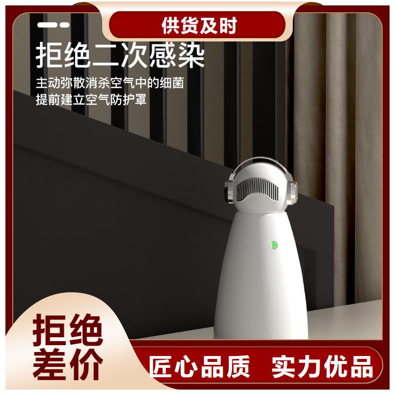 【小白祛味王车载空气净化器供应专注细节专注品质】