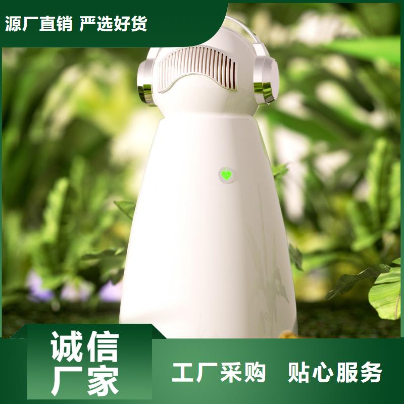 小白祛味王空气消毒机现货库存丰富