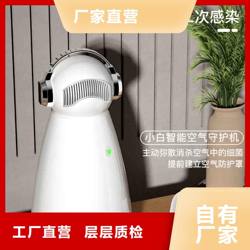 小白孕妇空气守护机空气净化器大厂库存丰富