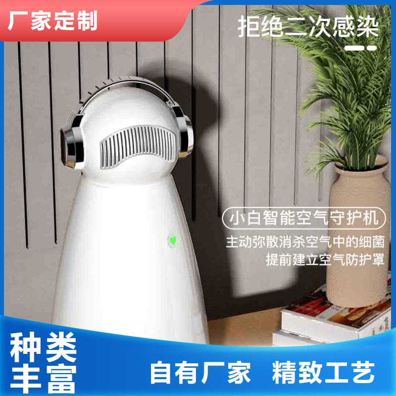 小白孕妇空气守护机,空气消毒机厂家专注细节专注品质