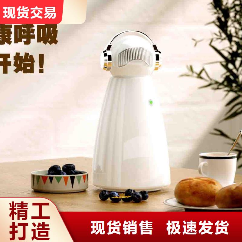 小白孕妇空气守护机小白祛味王本地厂家品质之选