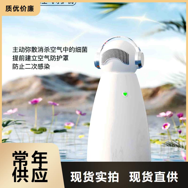小白孕妇空气守护机小白祛味王销售严格把控每一处细节
