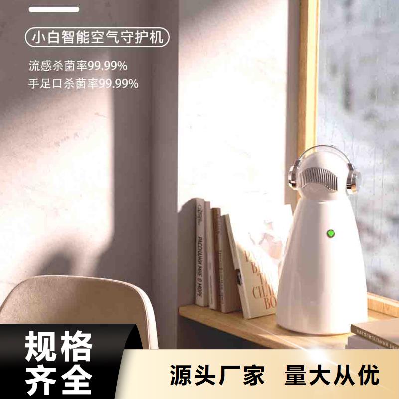 小白孕妇空气守护机车载空气净化器厂产品实拍