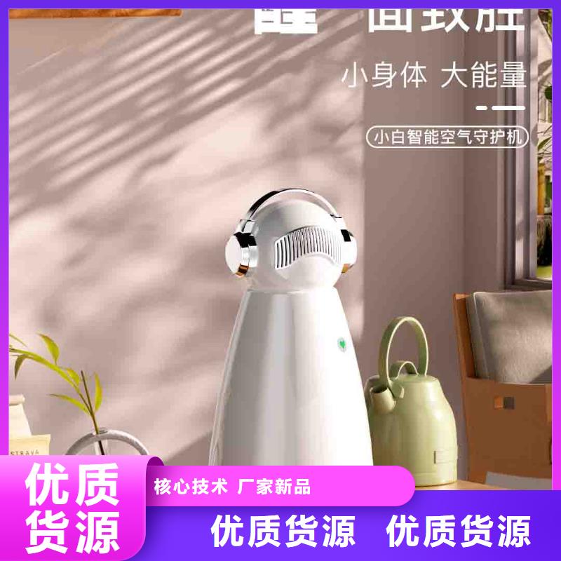 小白孕妇空气守护机,无臭养宠保障产品质量