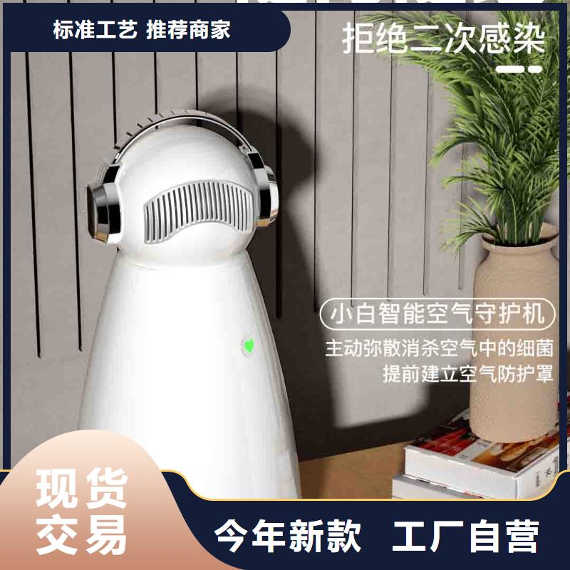 小白婴儿空气守护机【车载空气净化器供应】厂家工艺先进