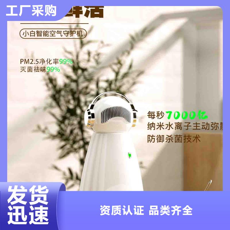 小白婴儿空气守护机车载空气净化器销售就近发货