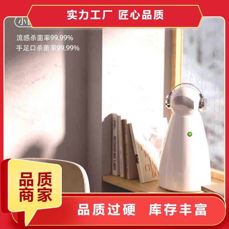 小白婴儿空气守护机车载空气净化器销售供应采购