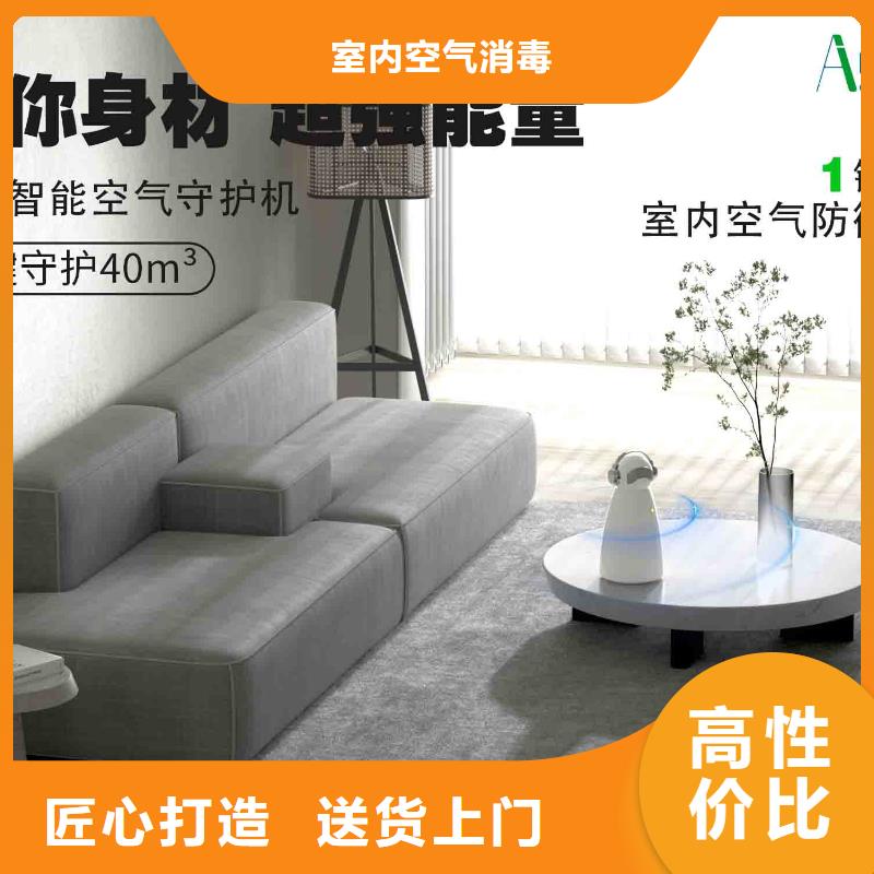 小白空气守护机销售智能空气净化器精工细作品质优良