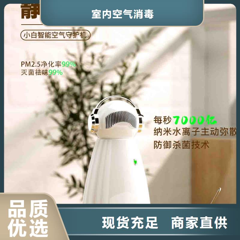 【小白空气守护机-无臭养宠本地配送】