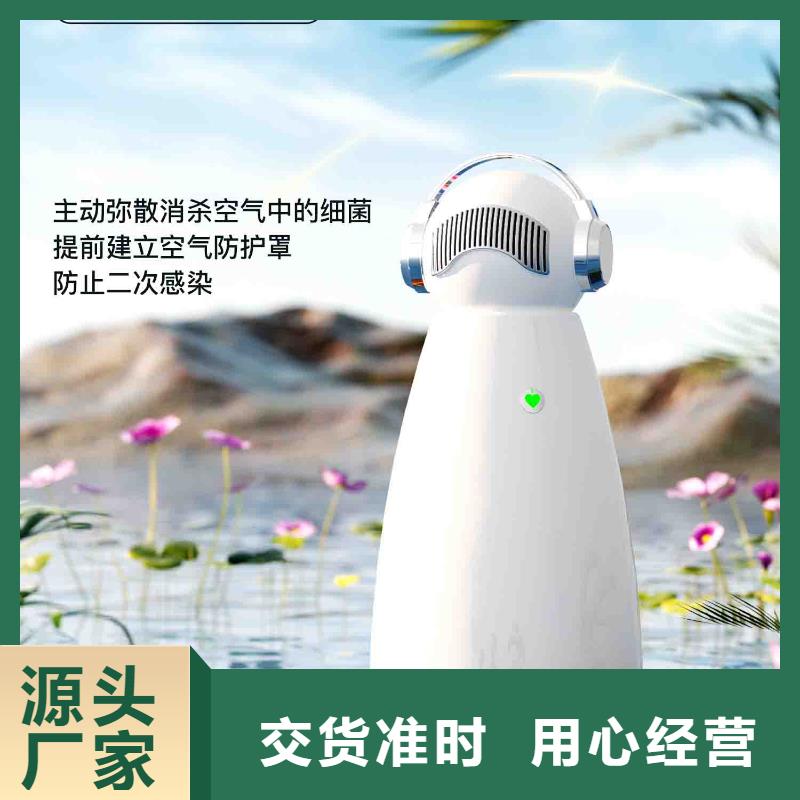 小白空气守护机销售小白祛味王品质可靠