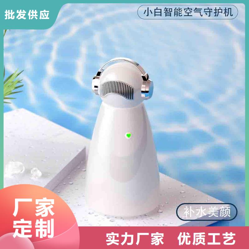 小白空气守护机车载空气净化器销售满足多种行业需求