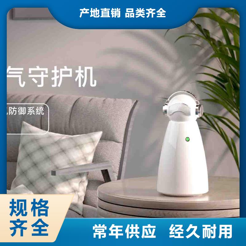 小白空气守护机销售小白祛味王品质可靠