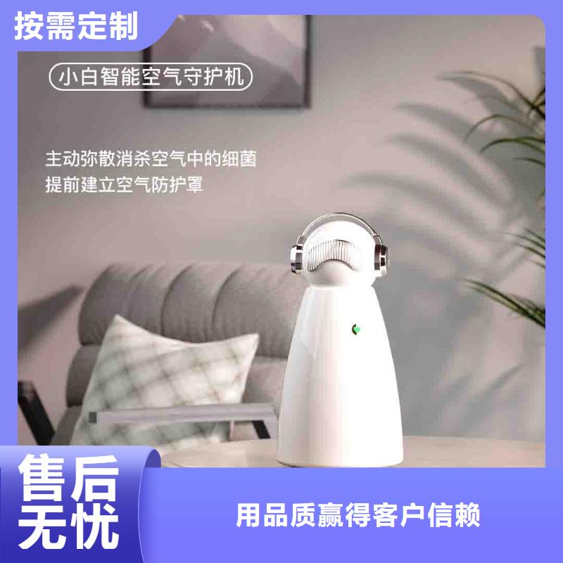 小白空气守护机随到随提