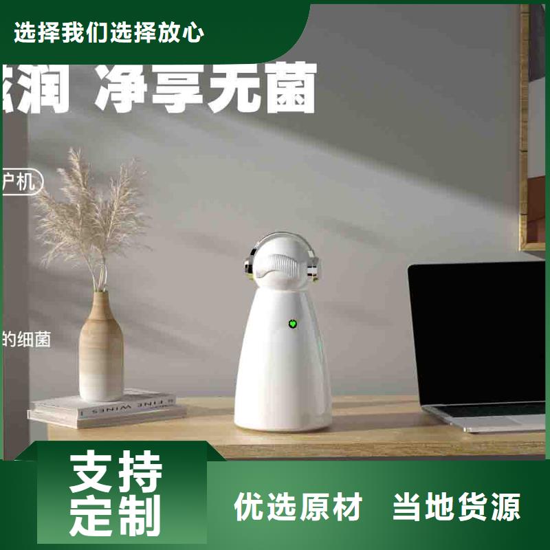 小白空气守护机-车载空气净化器供应精工打造