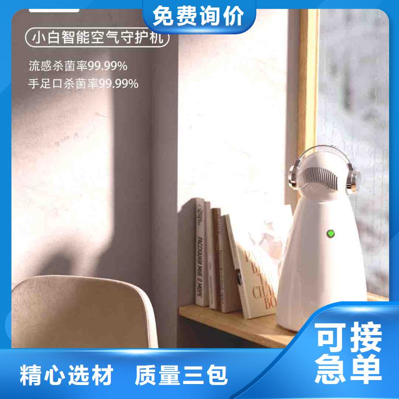 小白空气守护机智能空气净化器销售匠心工艺