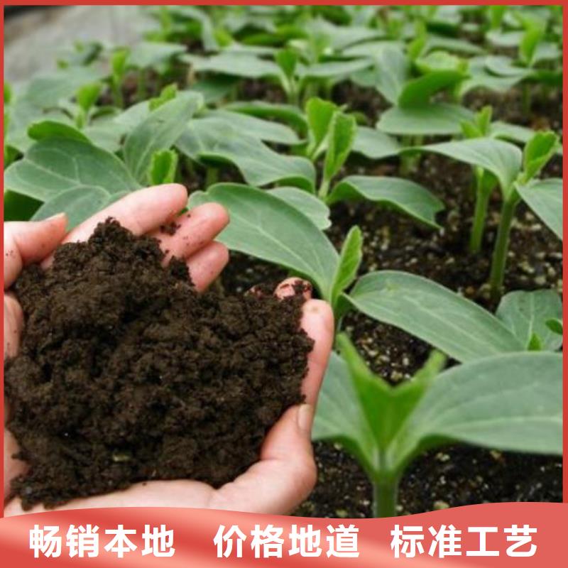肥水鸡粪行情