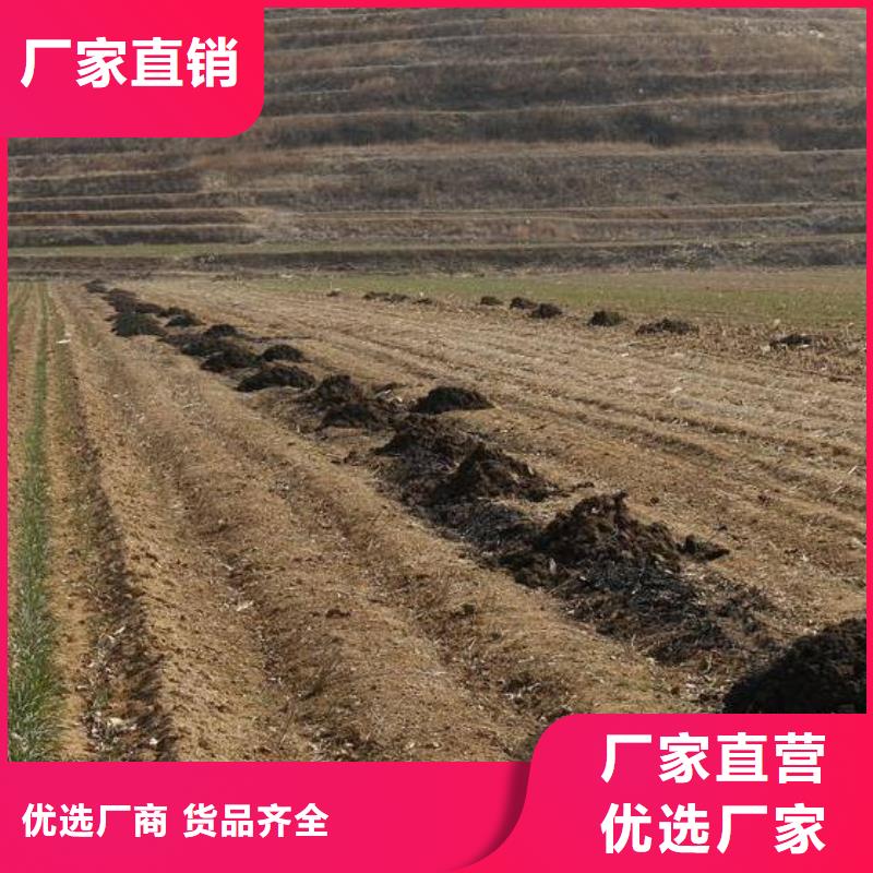 干鸡粪块质优价廉