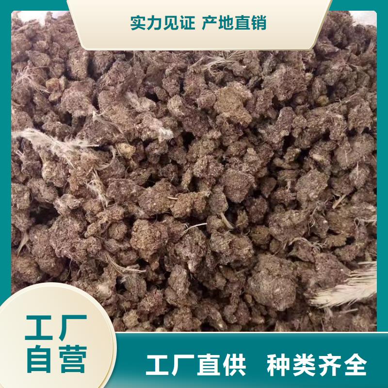 稻壳鸡粪图片
