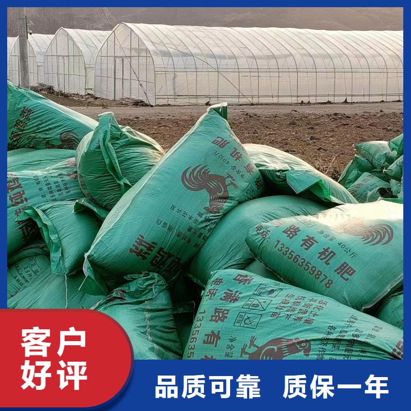 发酵羊粪肥效不错