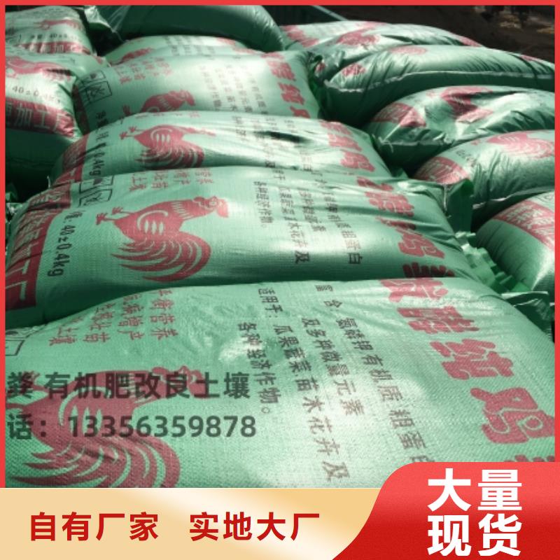 干鸡粪滋养农田