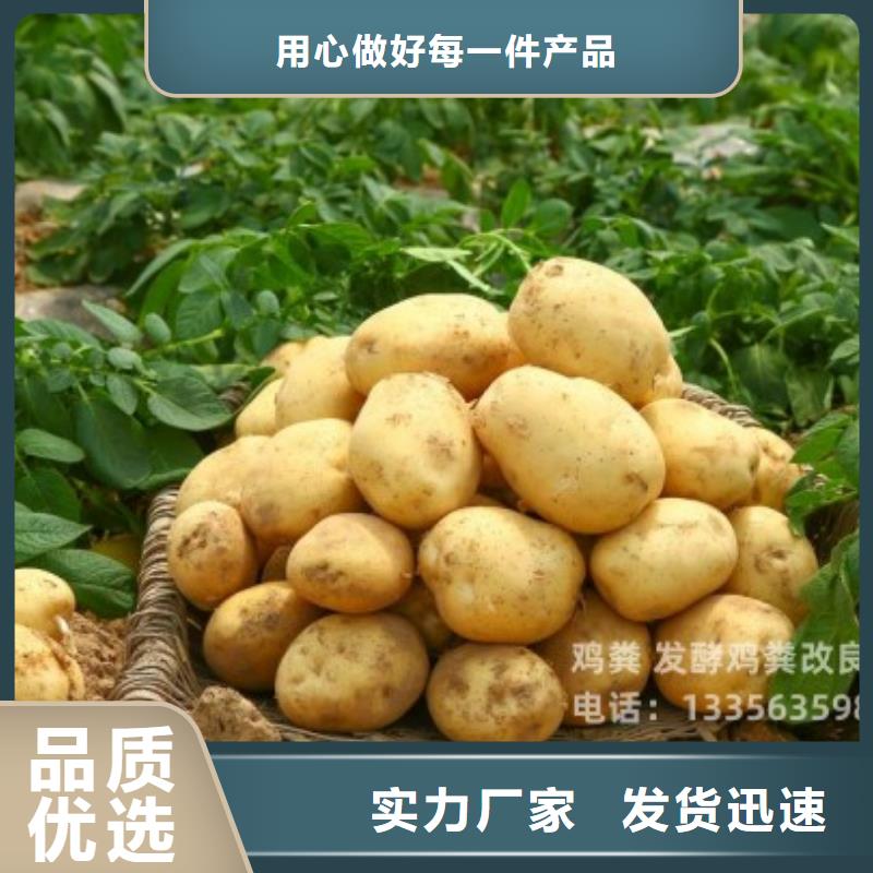 稻壳鸡粪缓解土壤板结