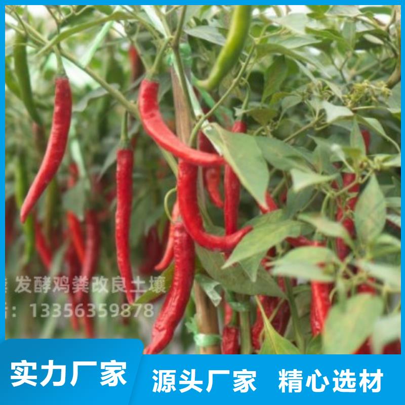 稻壳鸡粪生态庄园施肥强