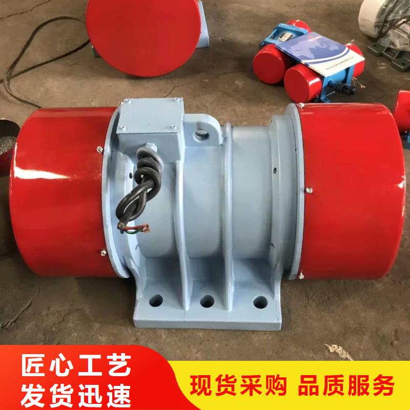 振动电机平板振动器匠心品质