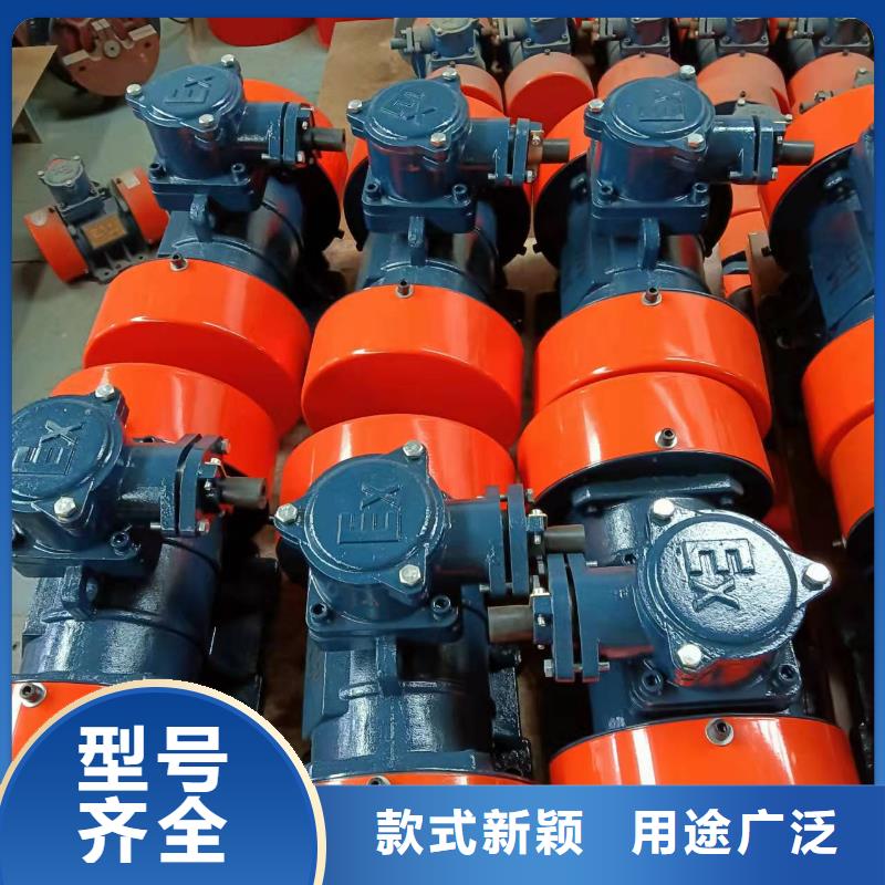 仓壁振动器防爆振动电机敢与同行比服务